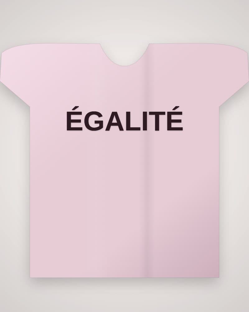 Photo d'un t-shirt unisexe blush poudré avec le slogan Égalité imprimé en brun profond.